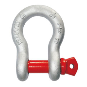 Shackle